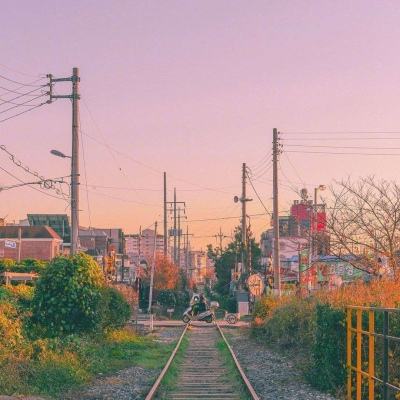 域网棋牌app下载